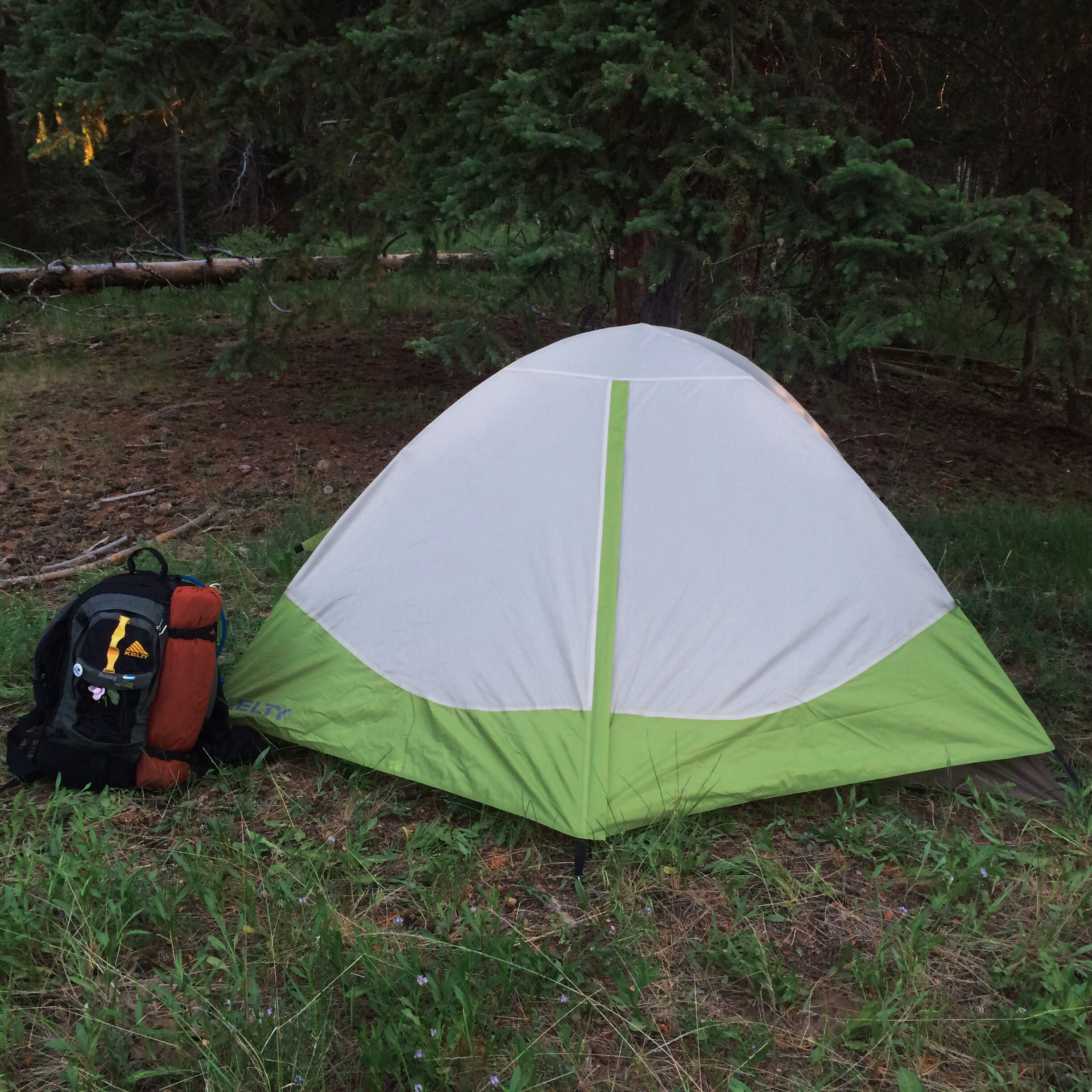 Processed with VSCOcam with wwf preset