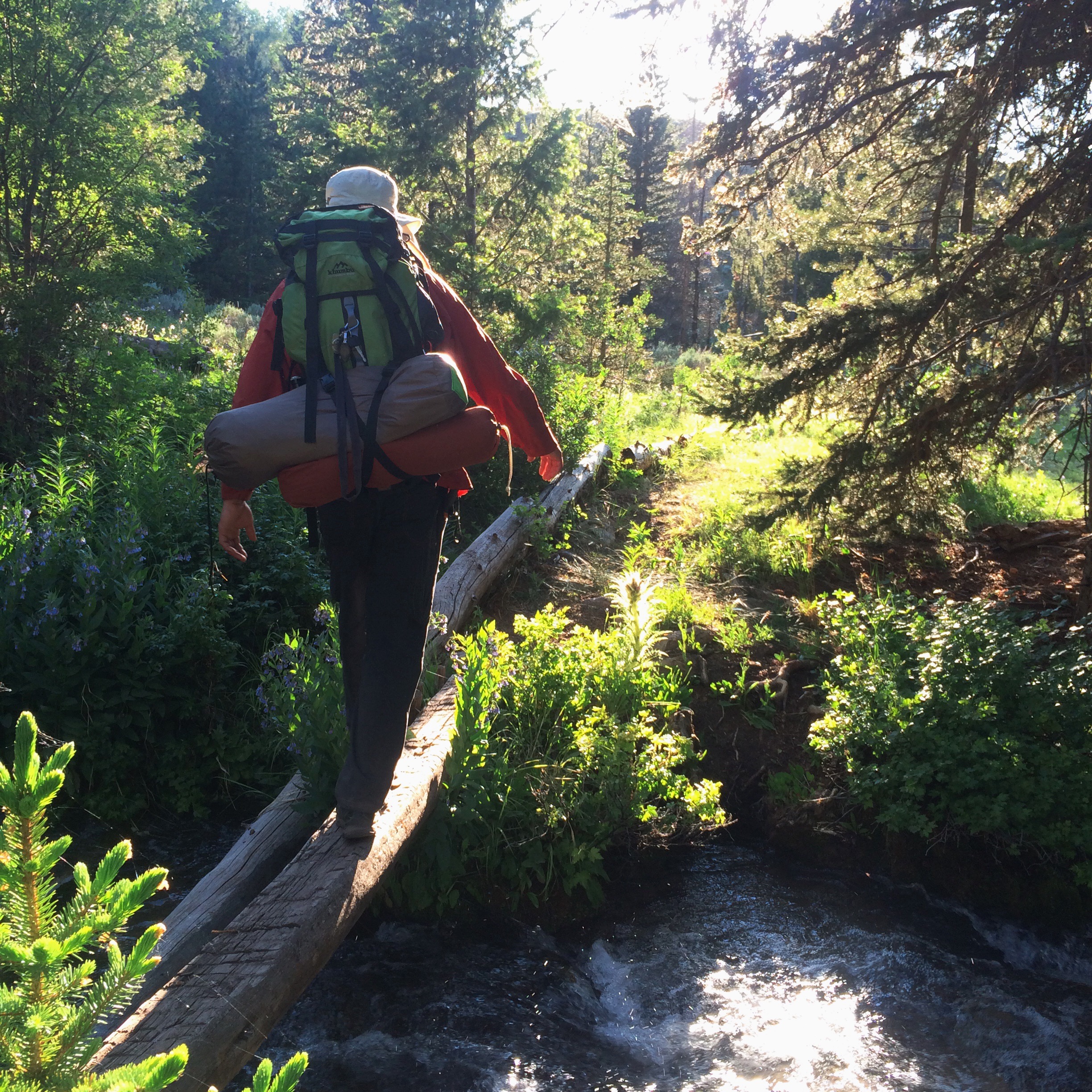 Processed with VSCOcam with wwf preset