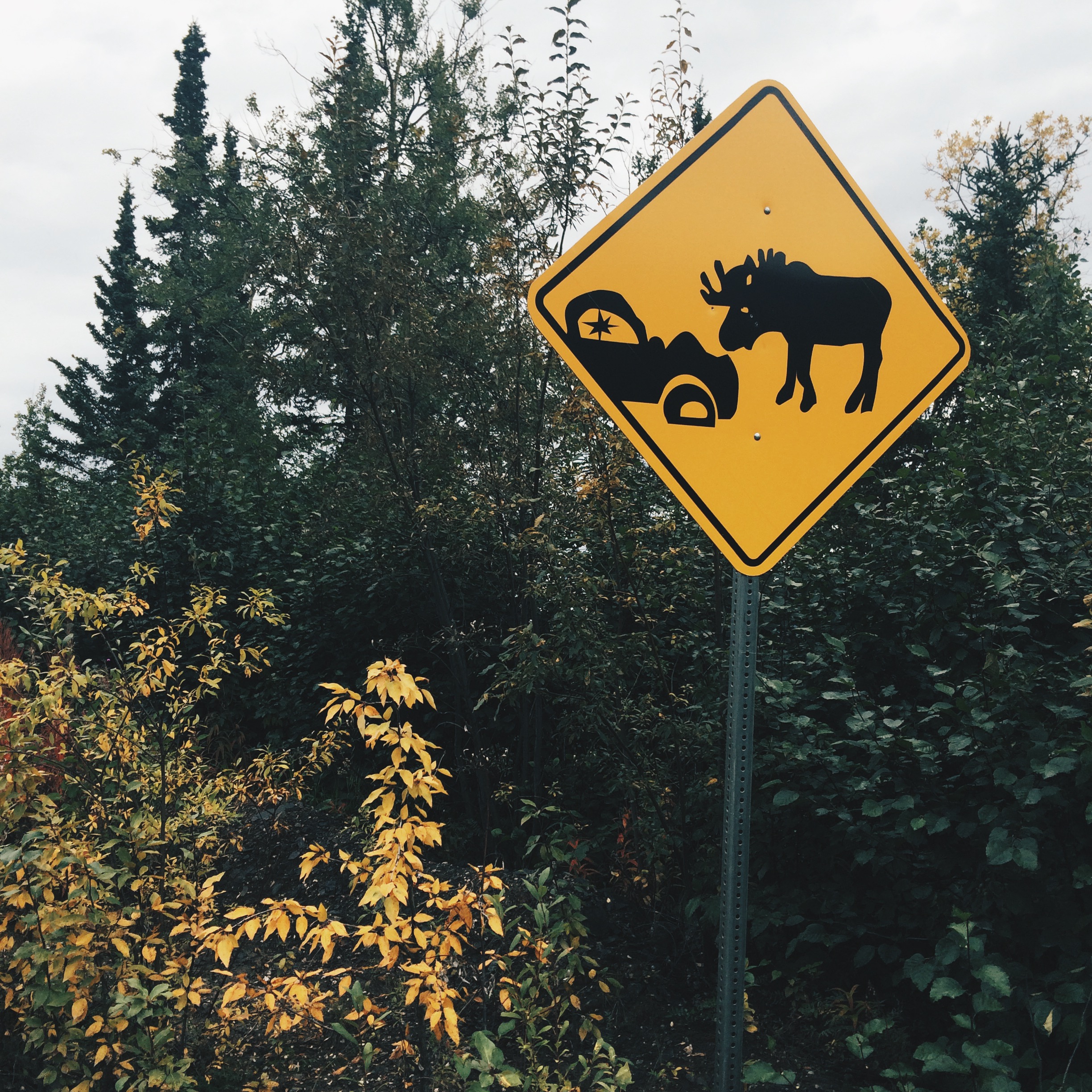 Processed with VSCOcam with hb2 preset