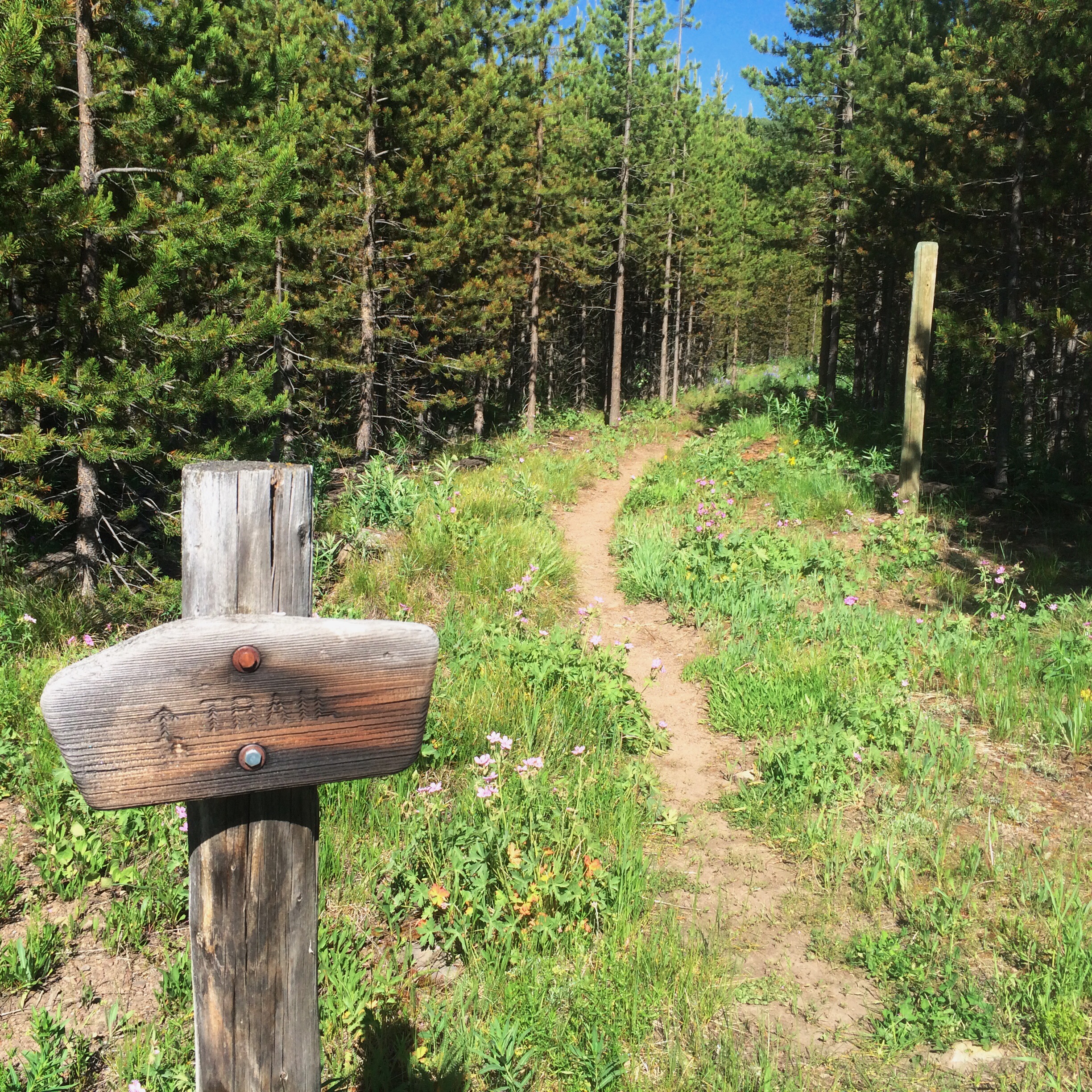 Processed with VSCOcam with wwf preset