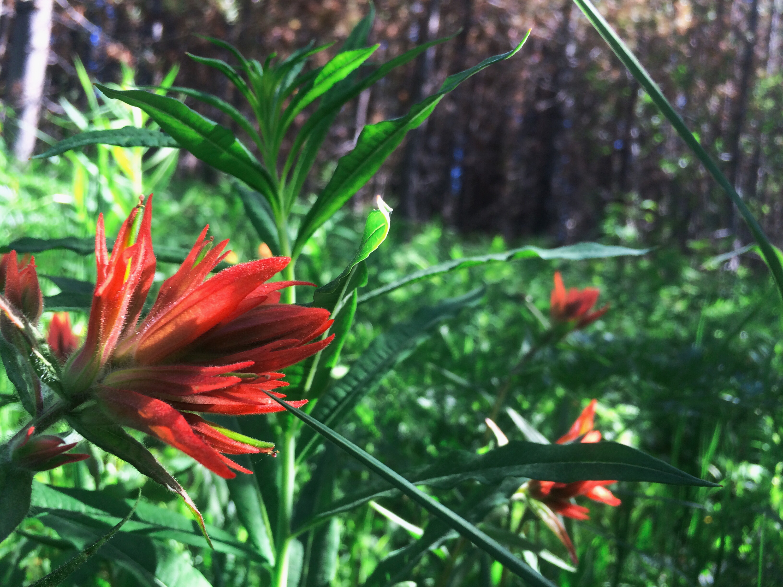 Processed with VSCOcam with wwf preset