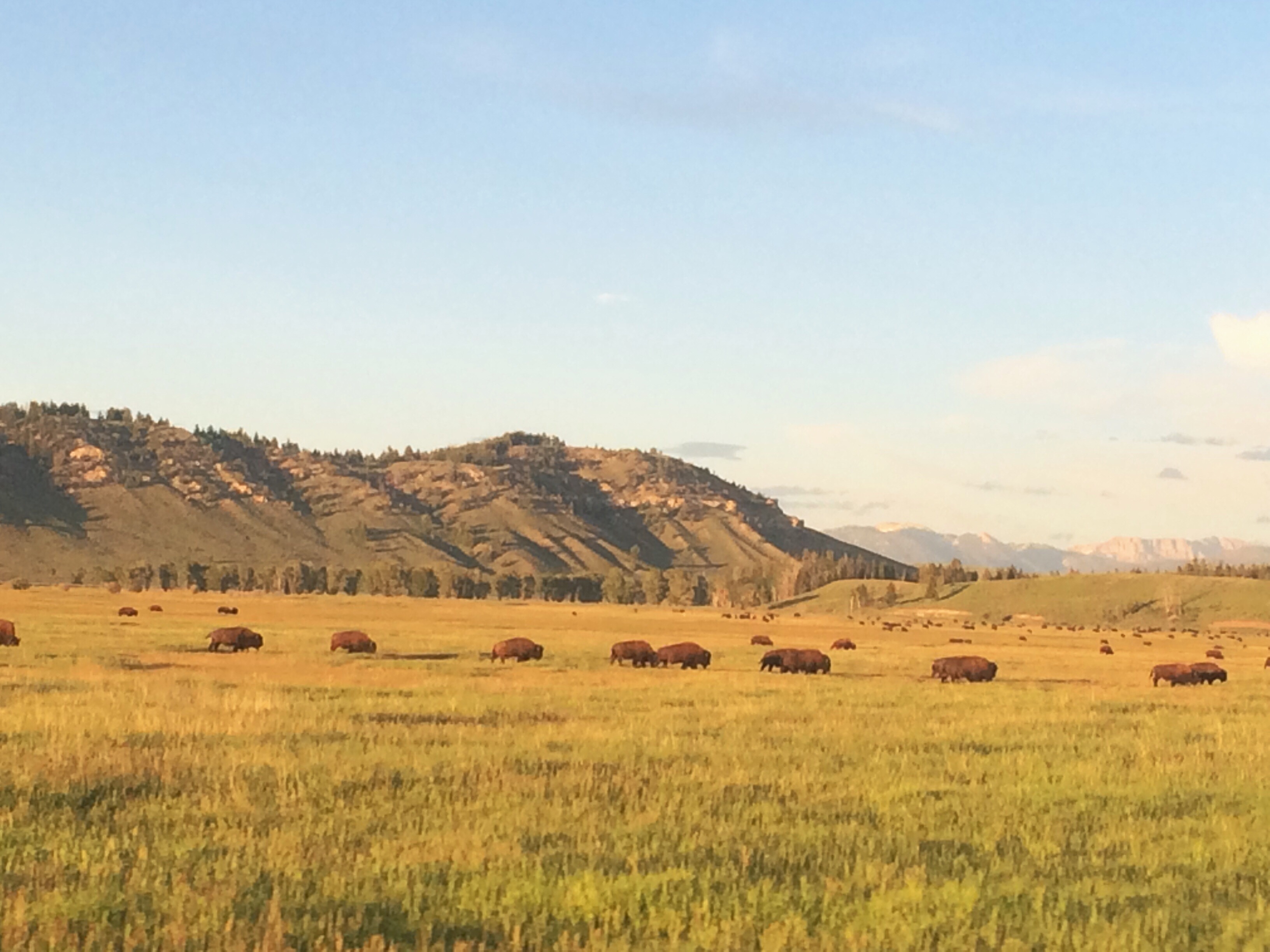 Processed with VSCOcam with wwf preset