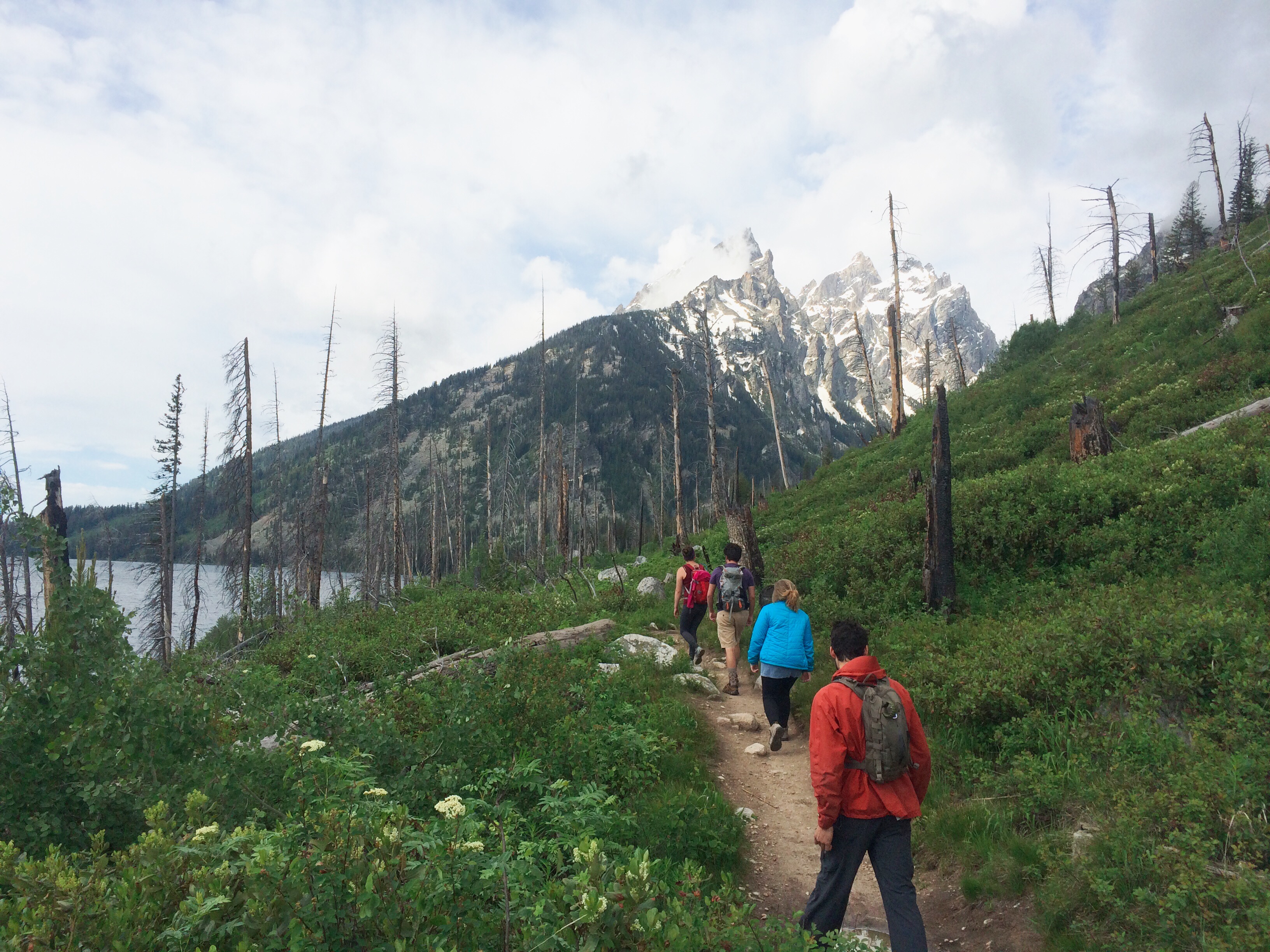 Processed with VSCOcam with wwf preset