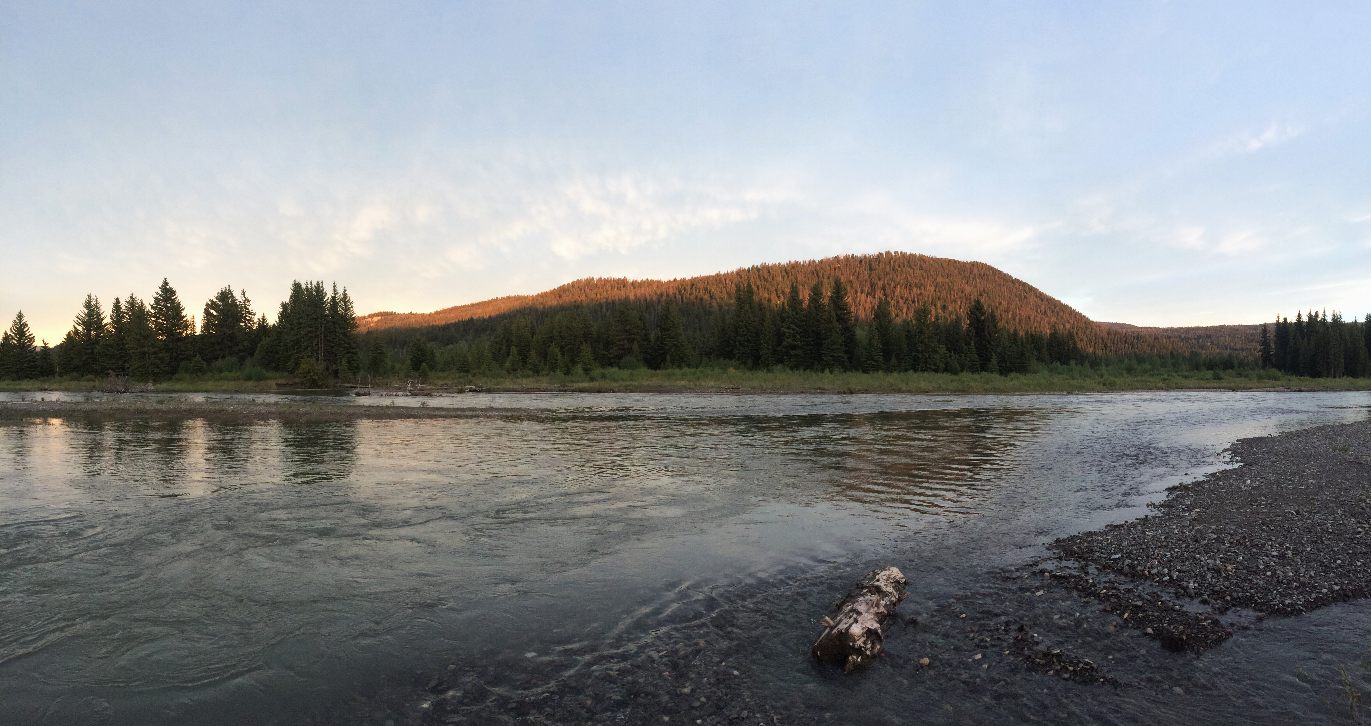 Processed with VSCOcam with wwf preset