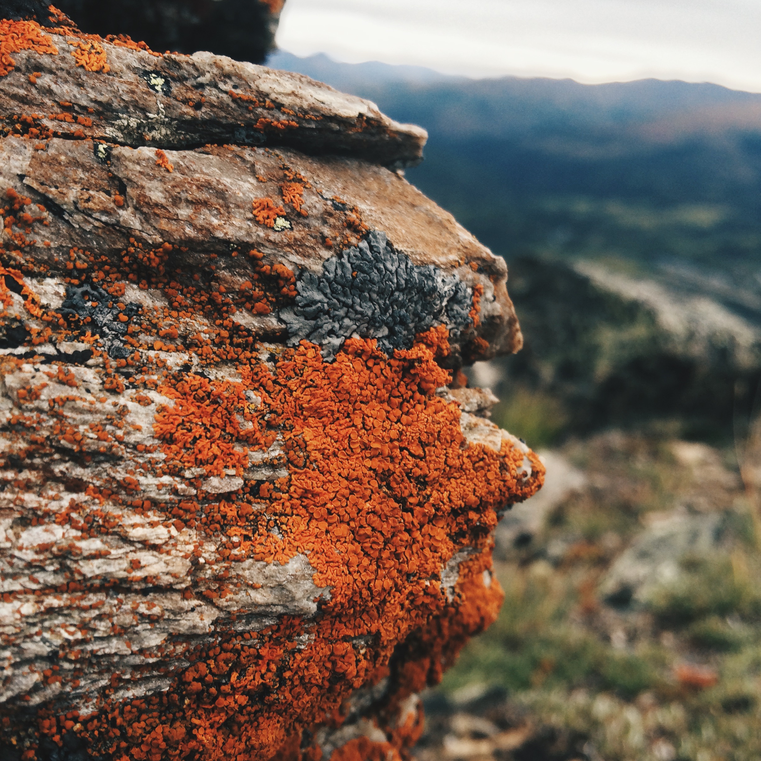 Processed with VSCOcam with hb2 preset