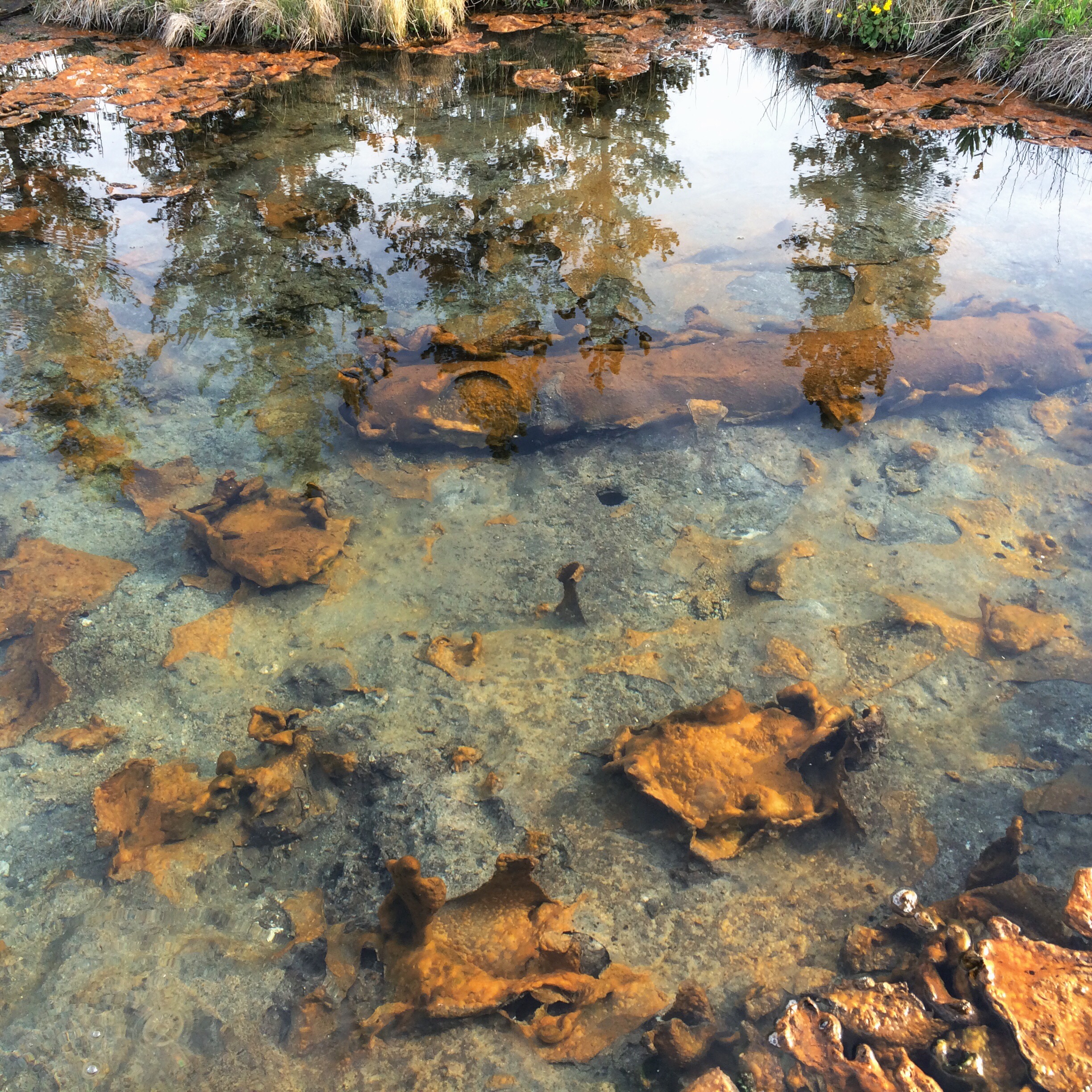 Processed with VSCOcam with wwf preset