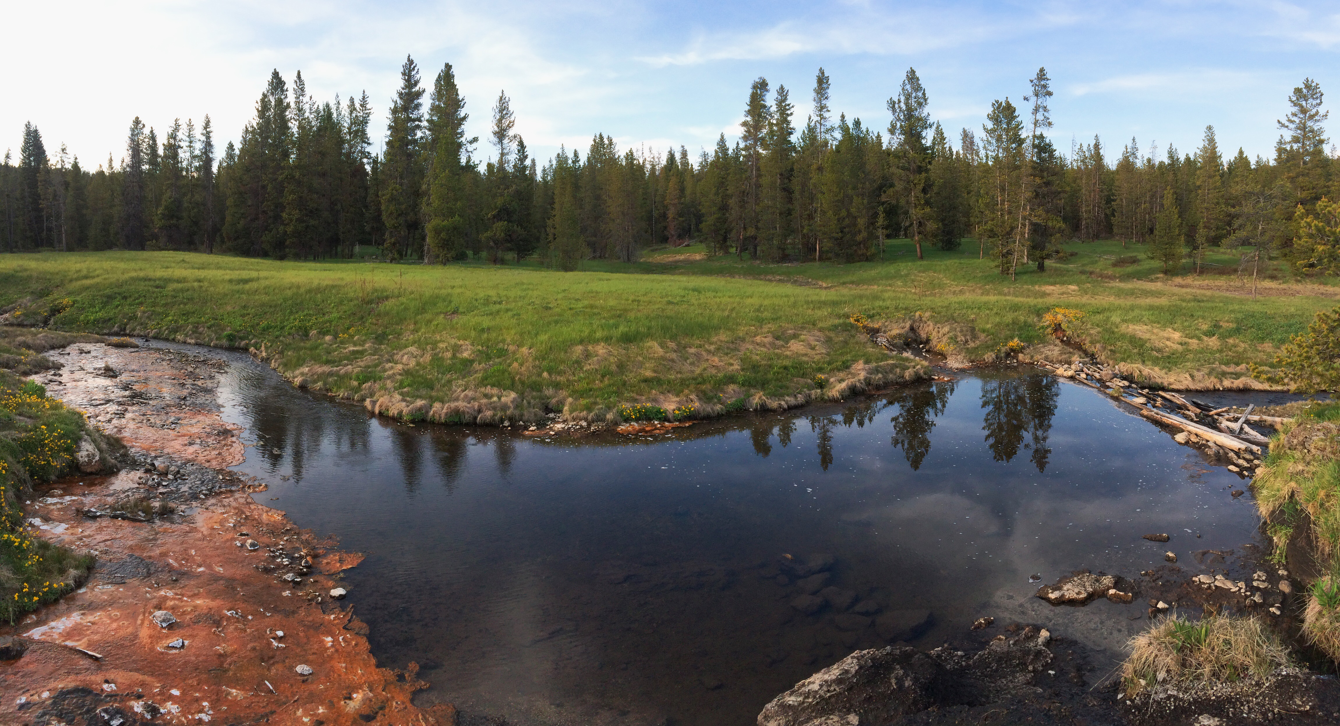 Processed with VSCOcam with wwf preset