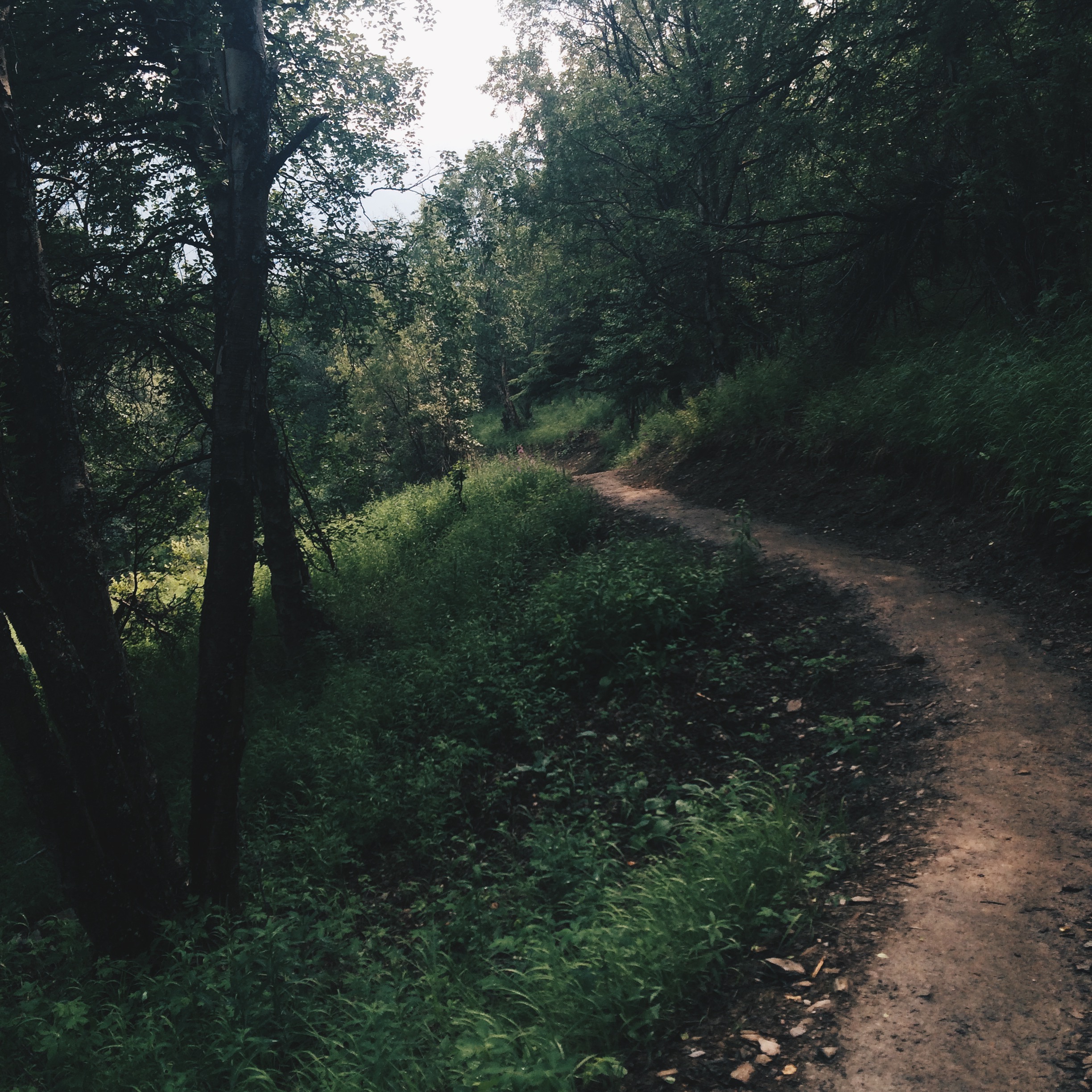 Processed with VSCOcam with hb2 preset