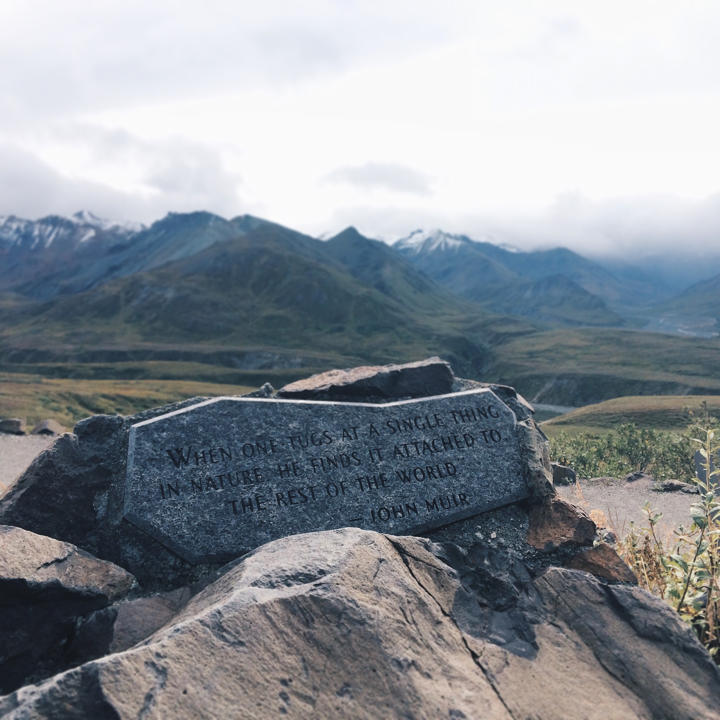 Processed with VSCOcam with hb2 preset