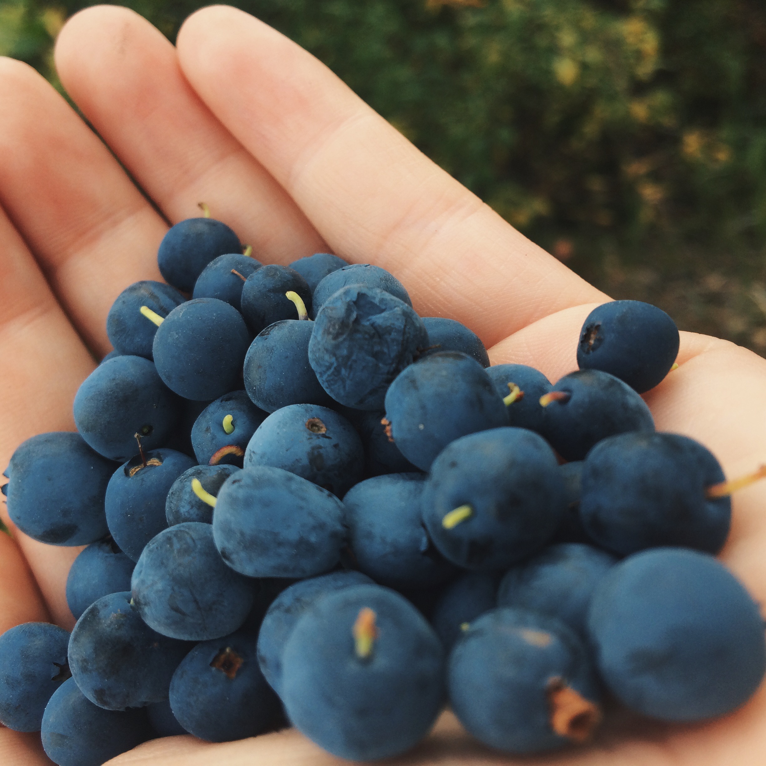 Processed with VSCOcam with hb2 preset