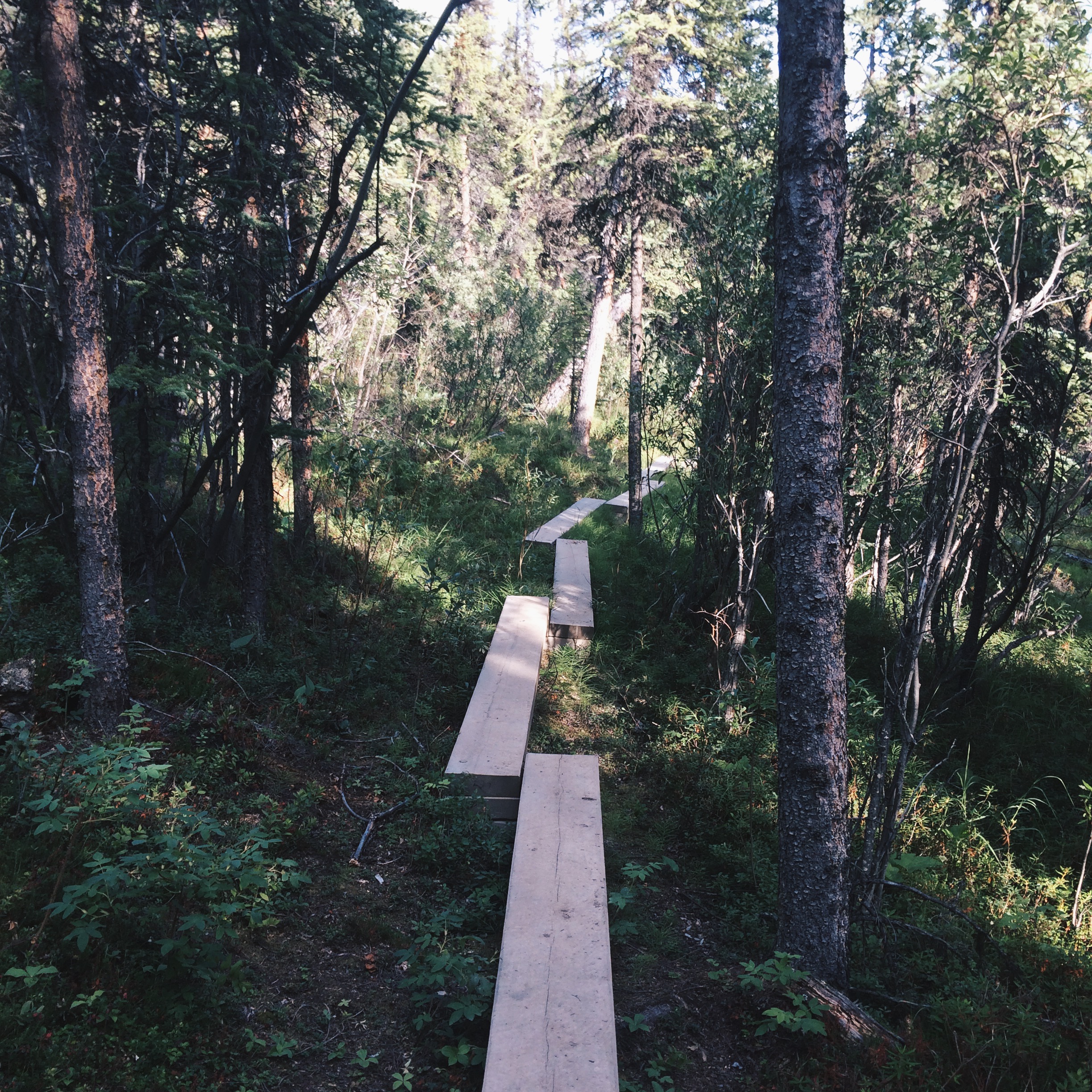 Processed with VSCOcam with hb2 preset