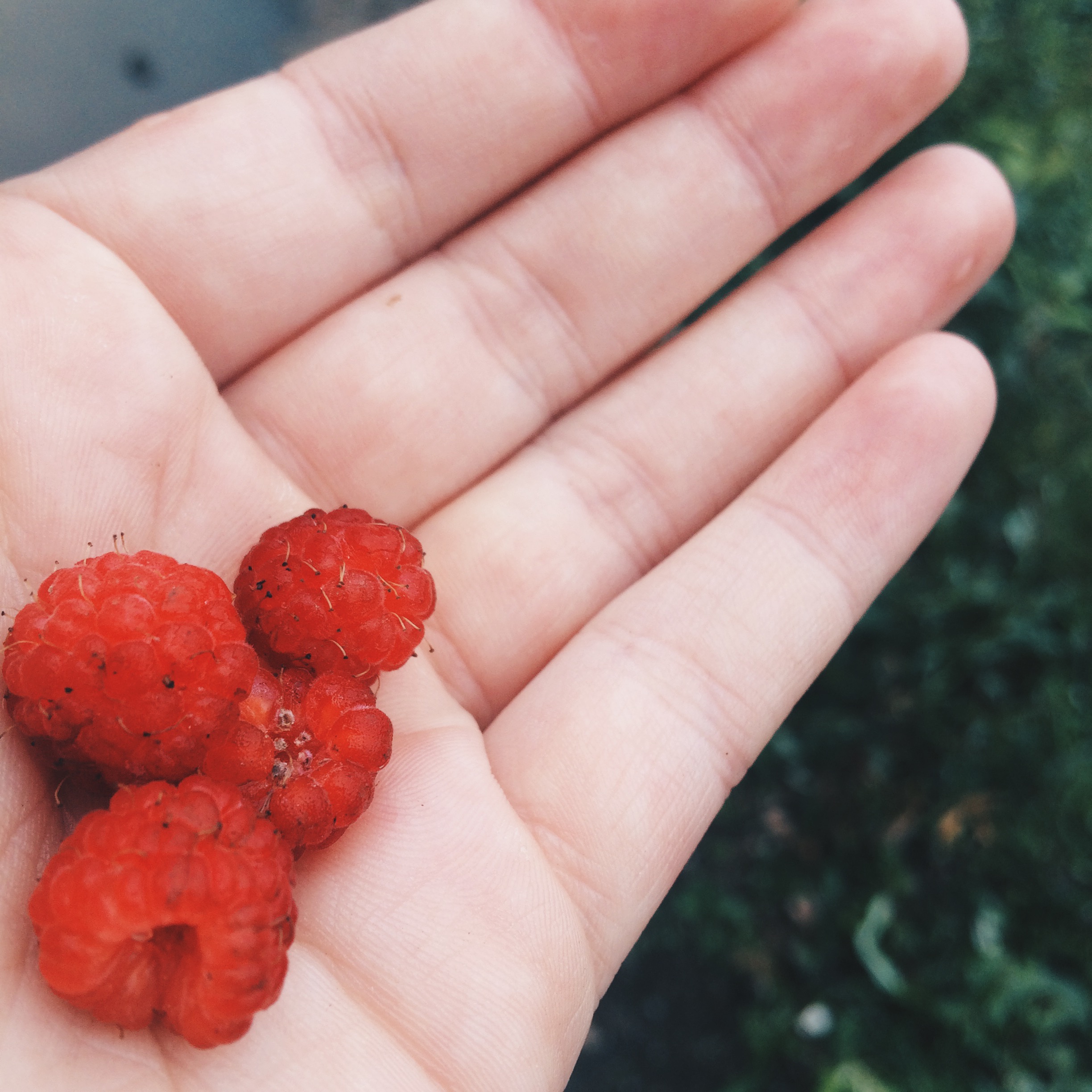 Processed with VSCOcam with hb2 preset