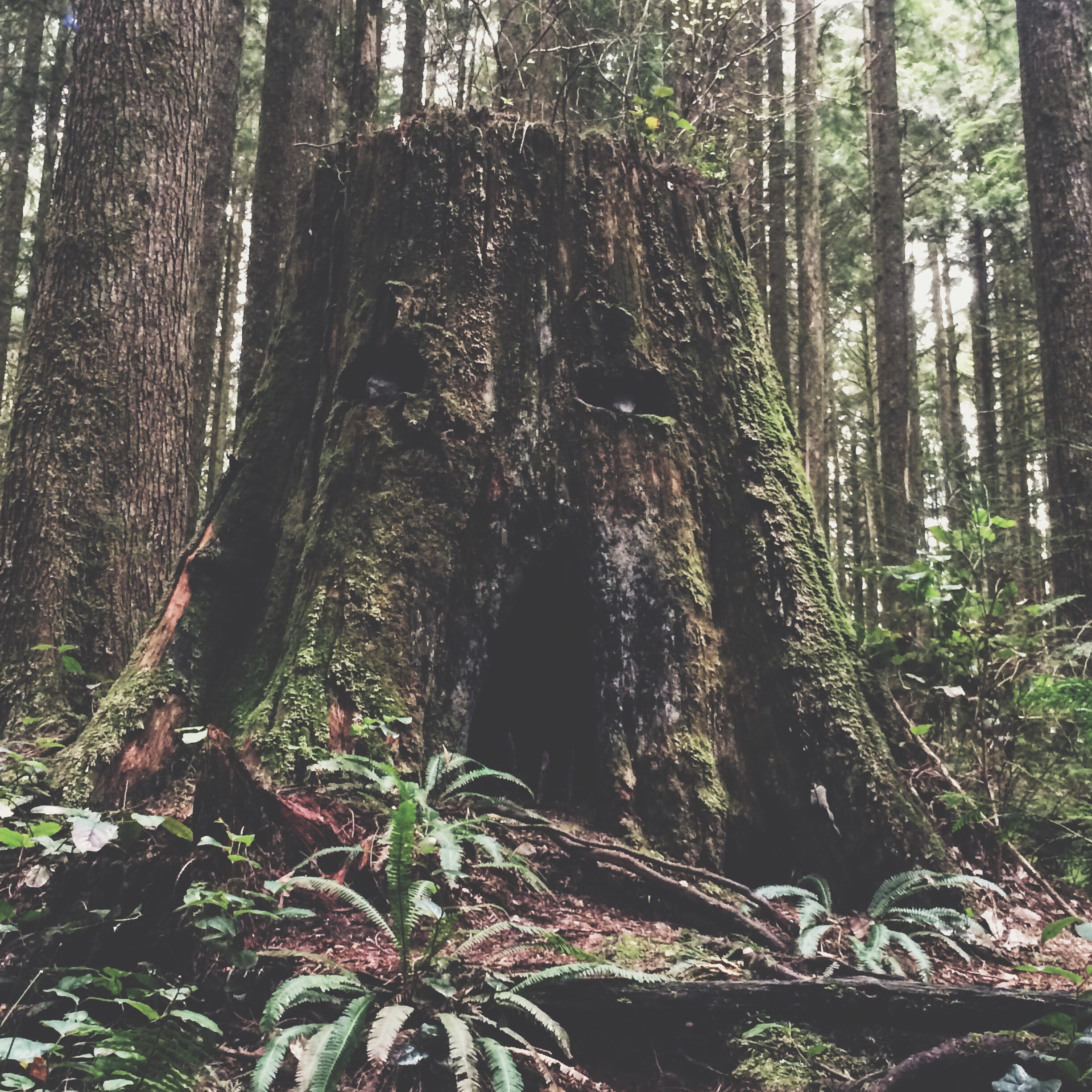 Processed with VSCOcam with t1 preset