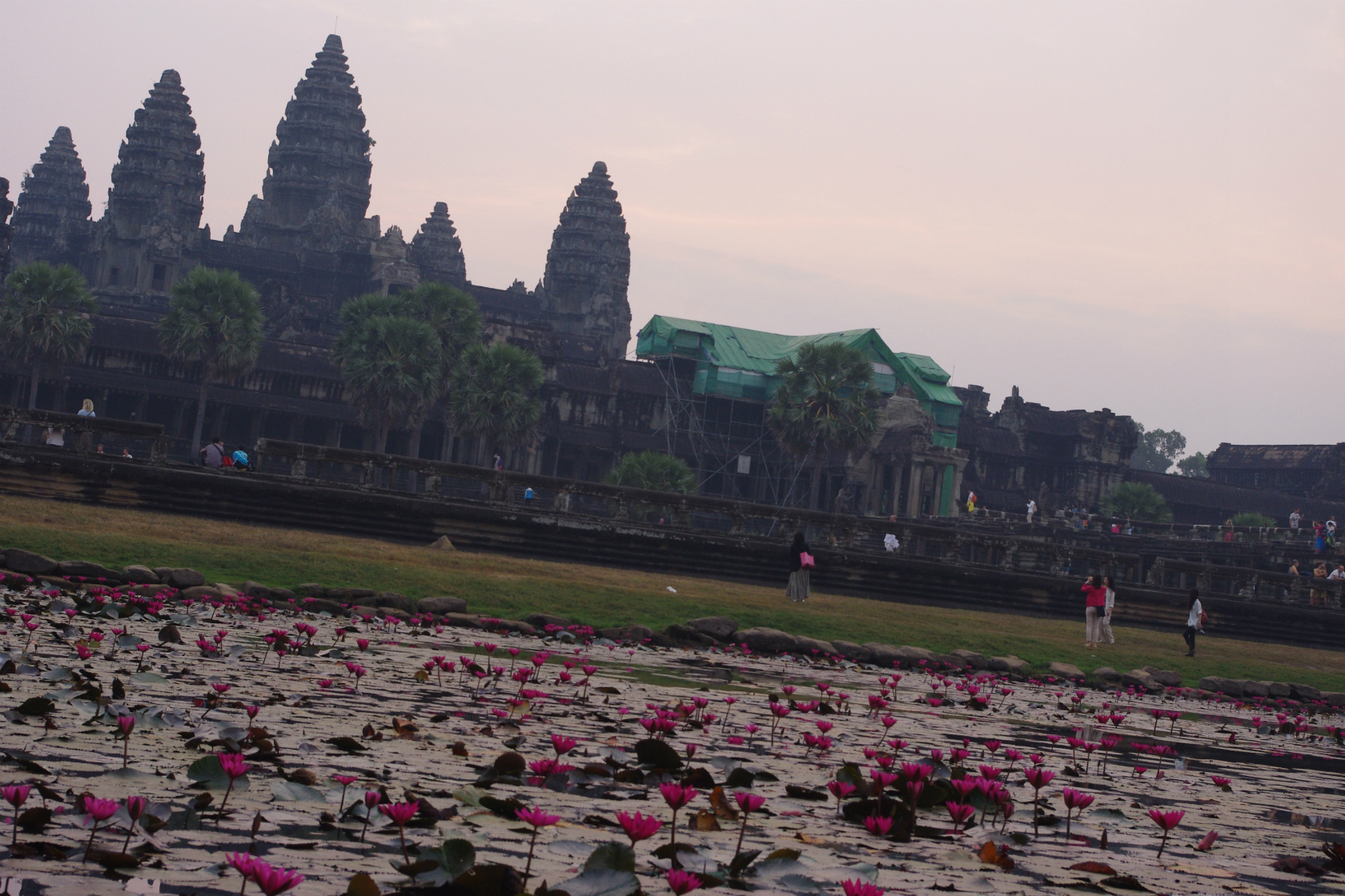 蓮池越しのアンコールワット