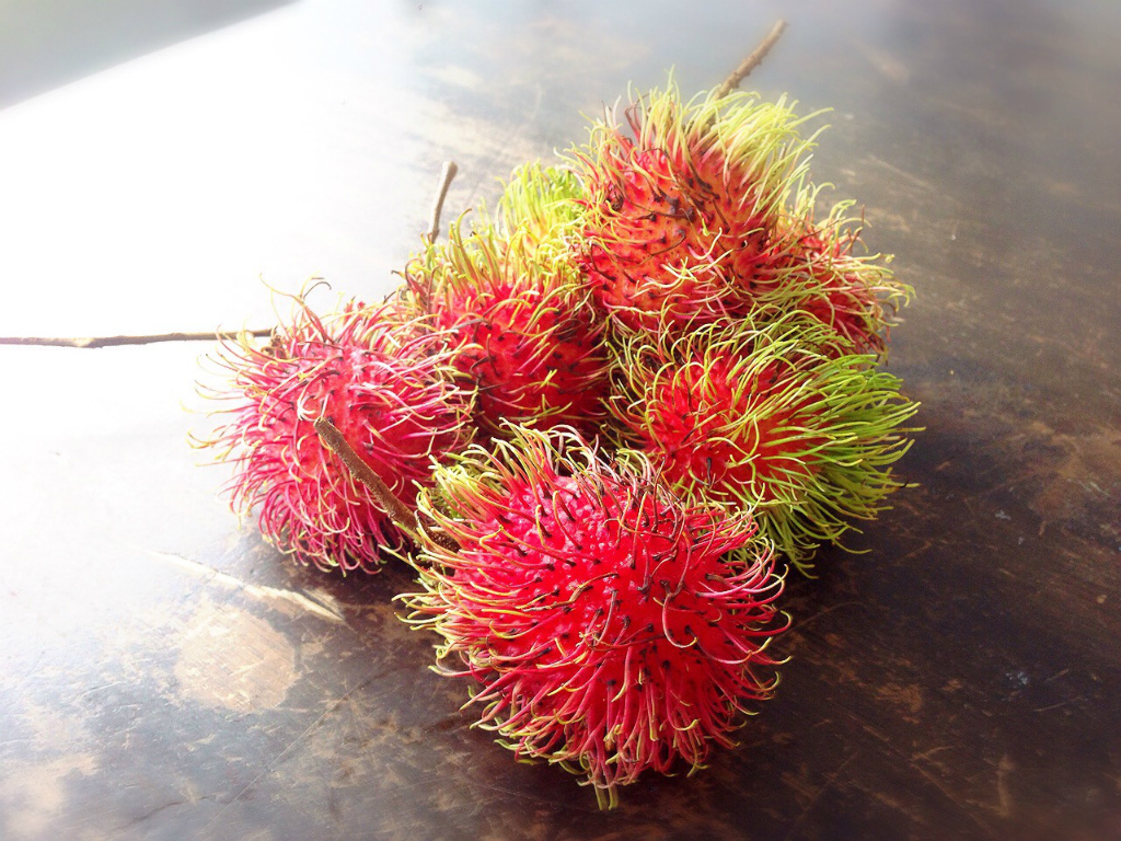 ランブータン 7個 1.7MR