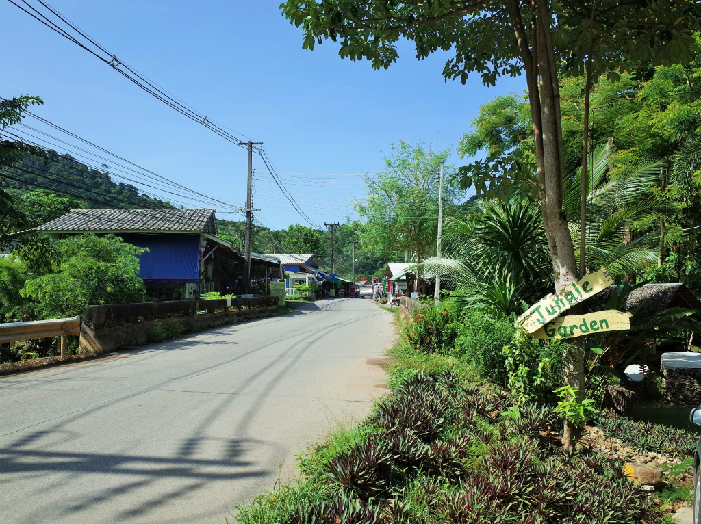 ジャングルガーデン前