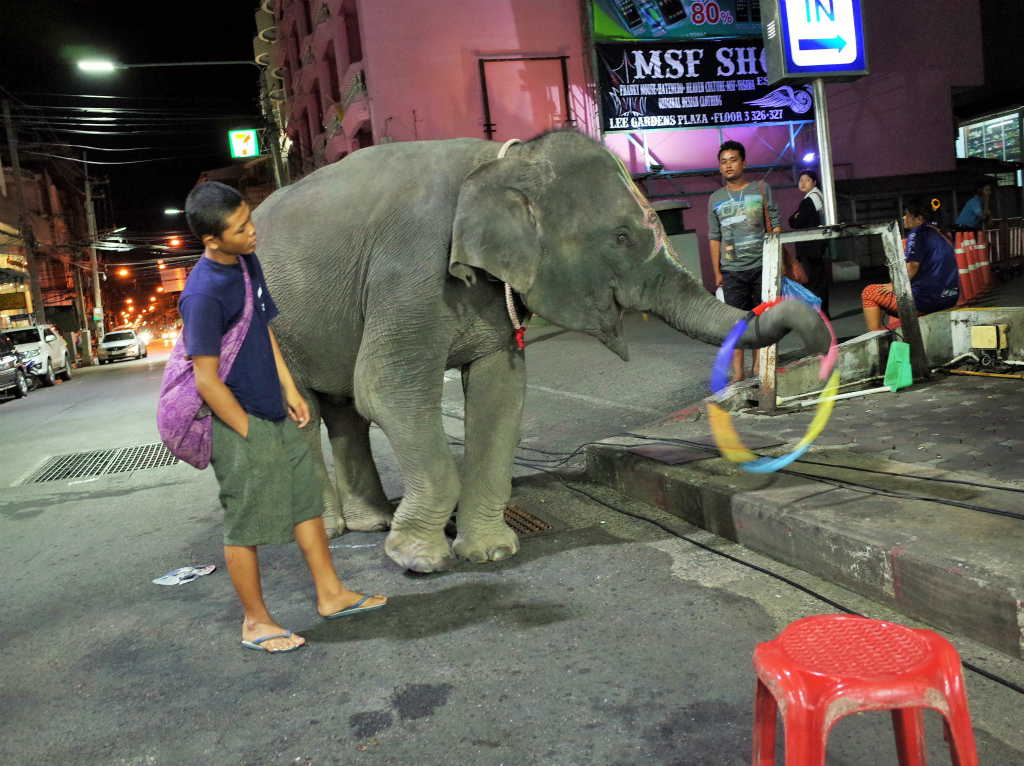 ハジャイ 街角の象