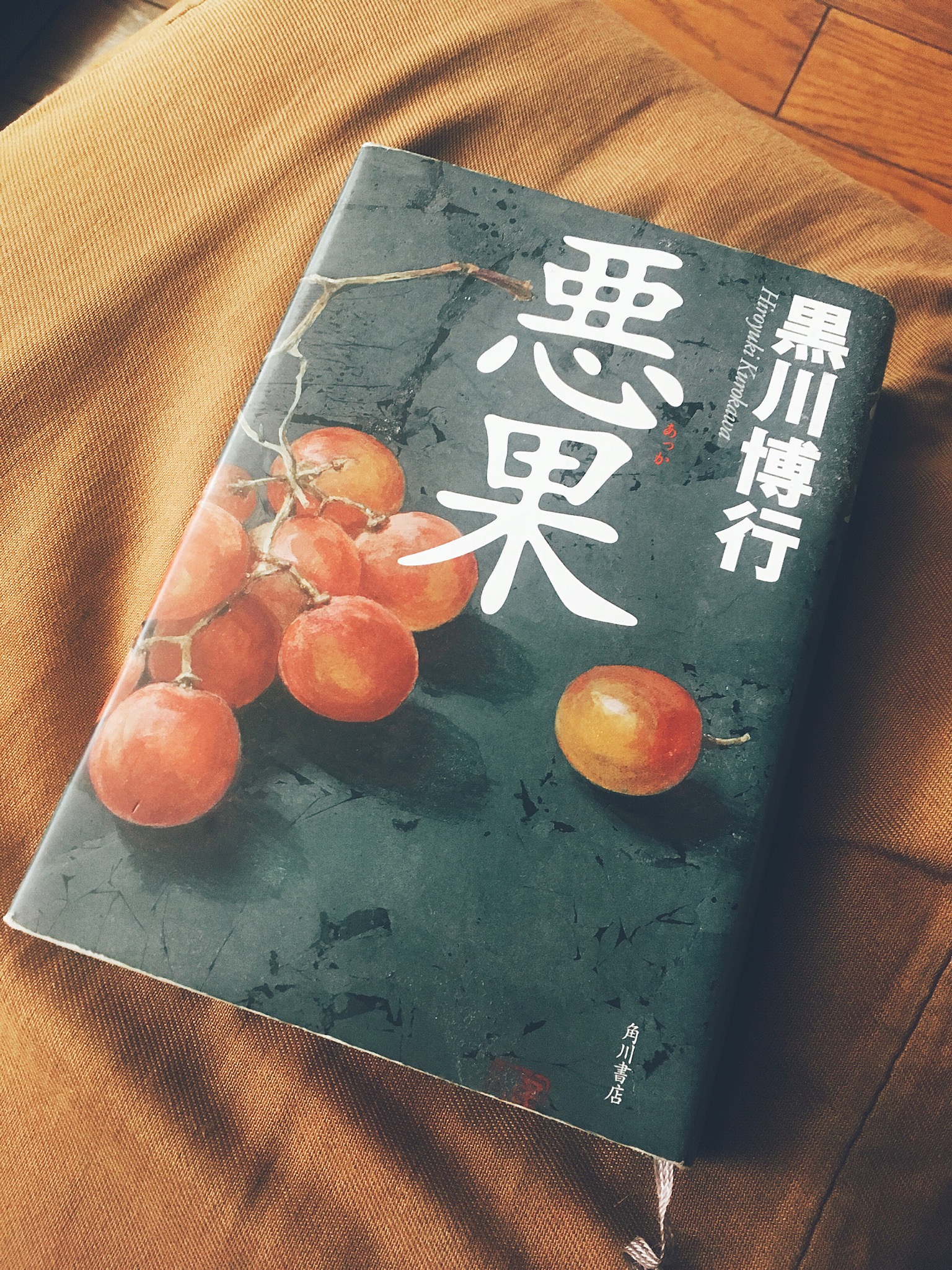 悪果 / 黒川博行