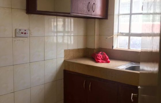 2-Bedroom Apartment – Roysambu