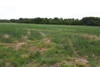 1.58 ACRES LAND – MWEA