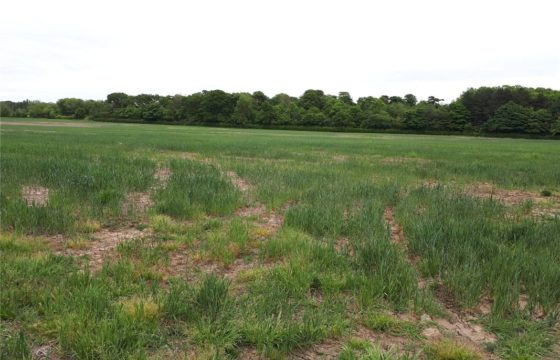 1.58 ACRES LAND – MWEA