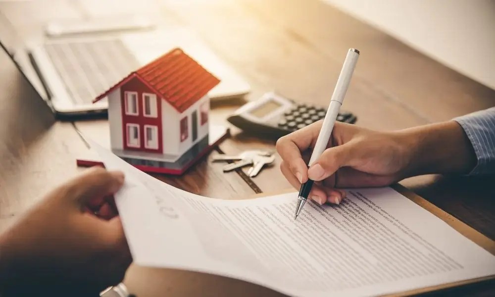 Estate Planning Review Frequency