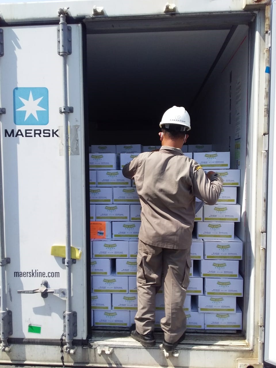 Customs Handling & Logistics Support Maknalog Freight Forwarder