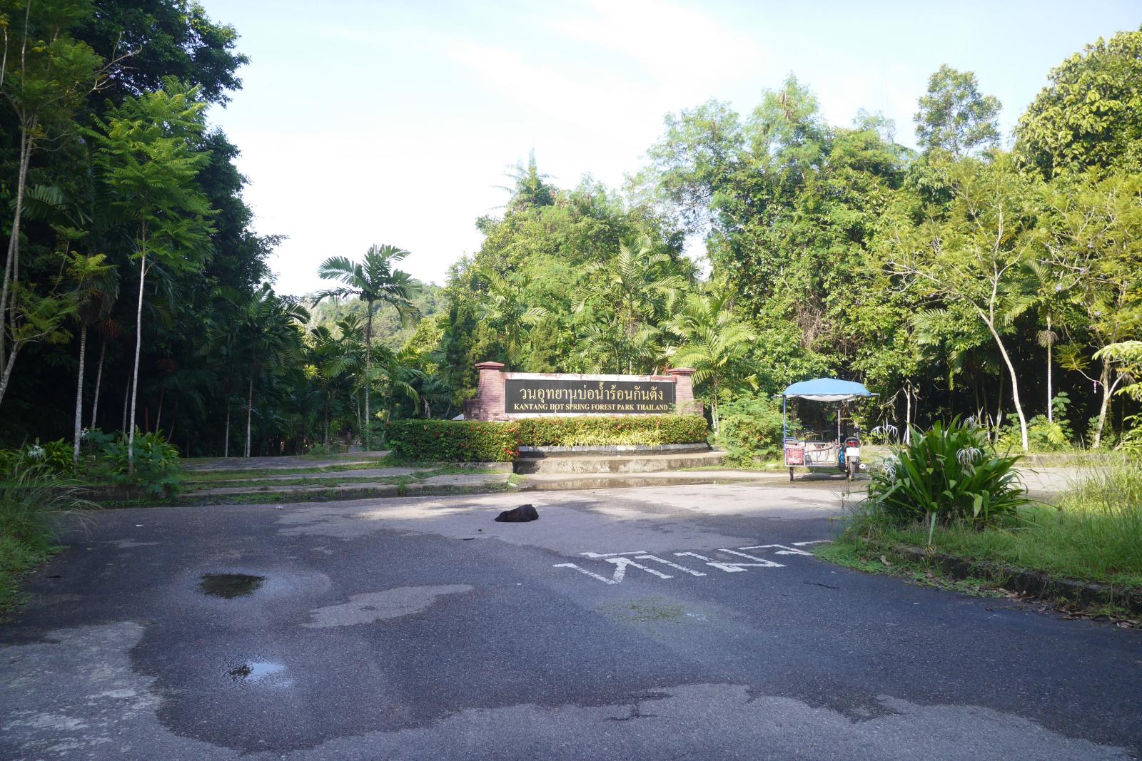 wp-1493259336492.