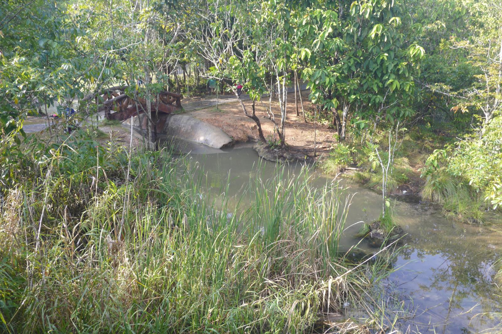 wp-1493259336803.