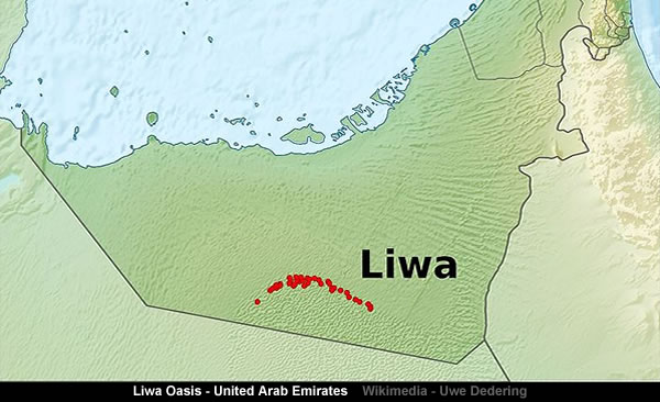 The Arabian Horizon The Liwa Impact MalagaBay Liwa Oasis Map 