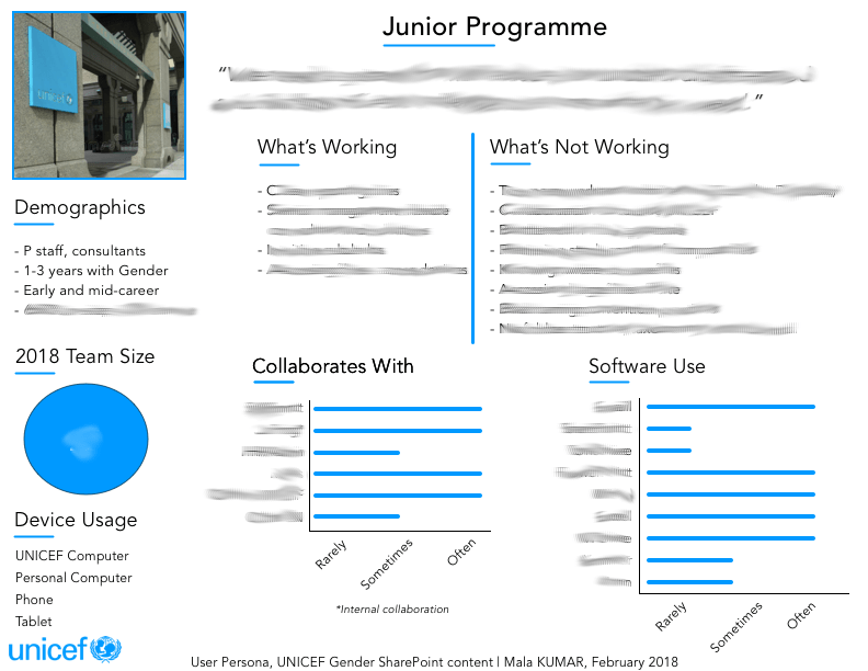 UNICEF Gender User Persona