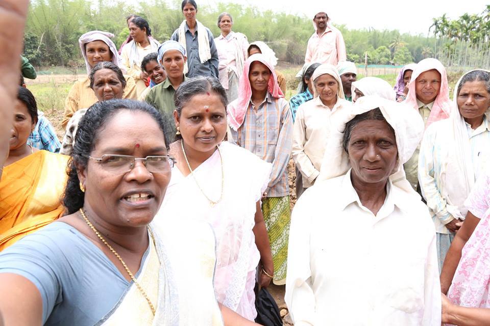 സി. കെ ജാനുവിനെ വെറുതെവിടുക