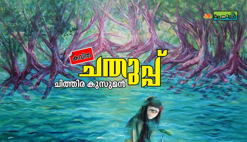 ചതുപ്പ്