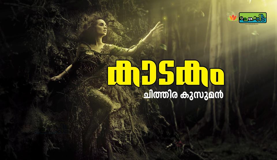 കാടകം