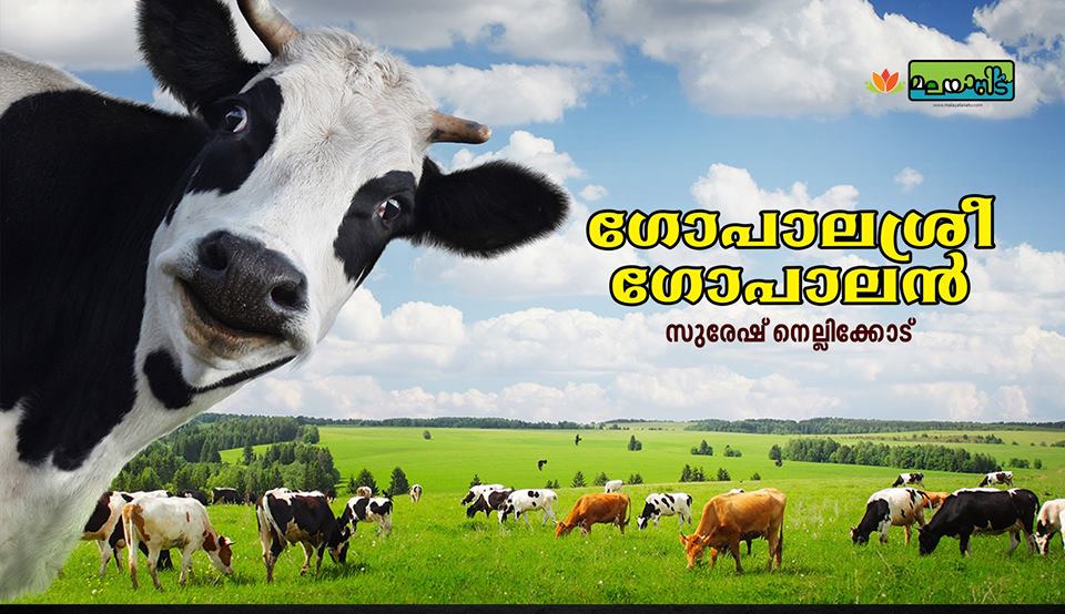 ഗോപാലശ്രീ ഗോപാലന്‍