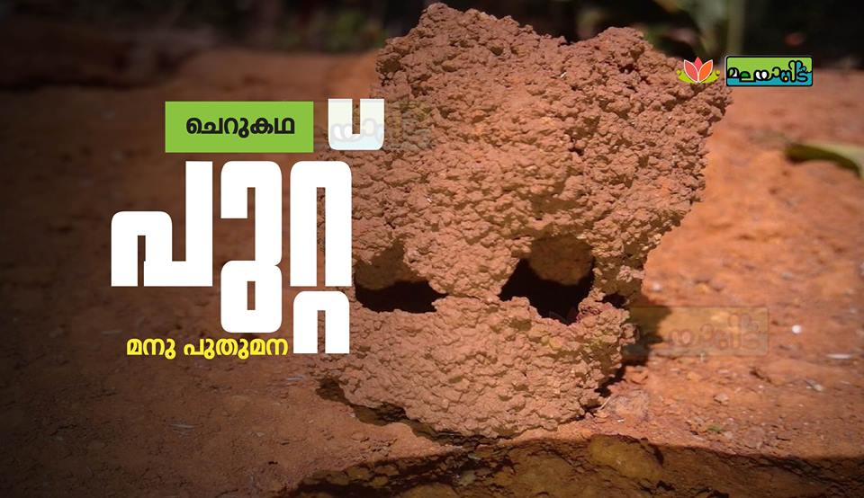 പുറ്റ്‌