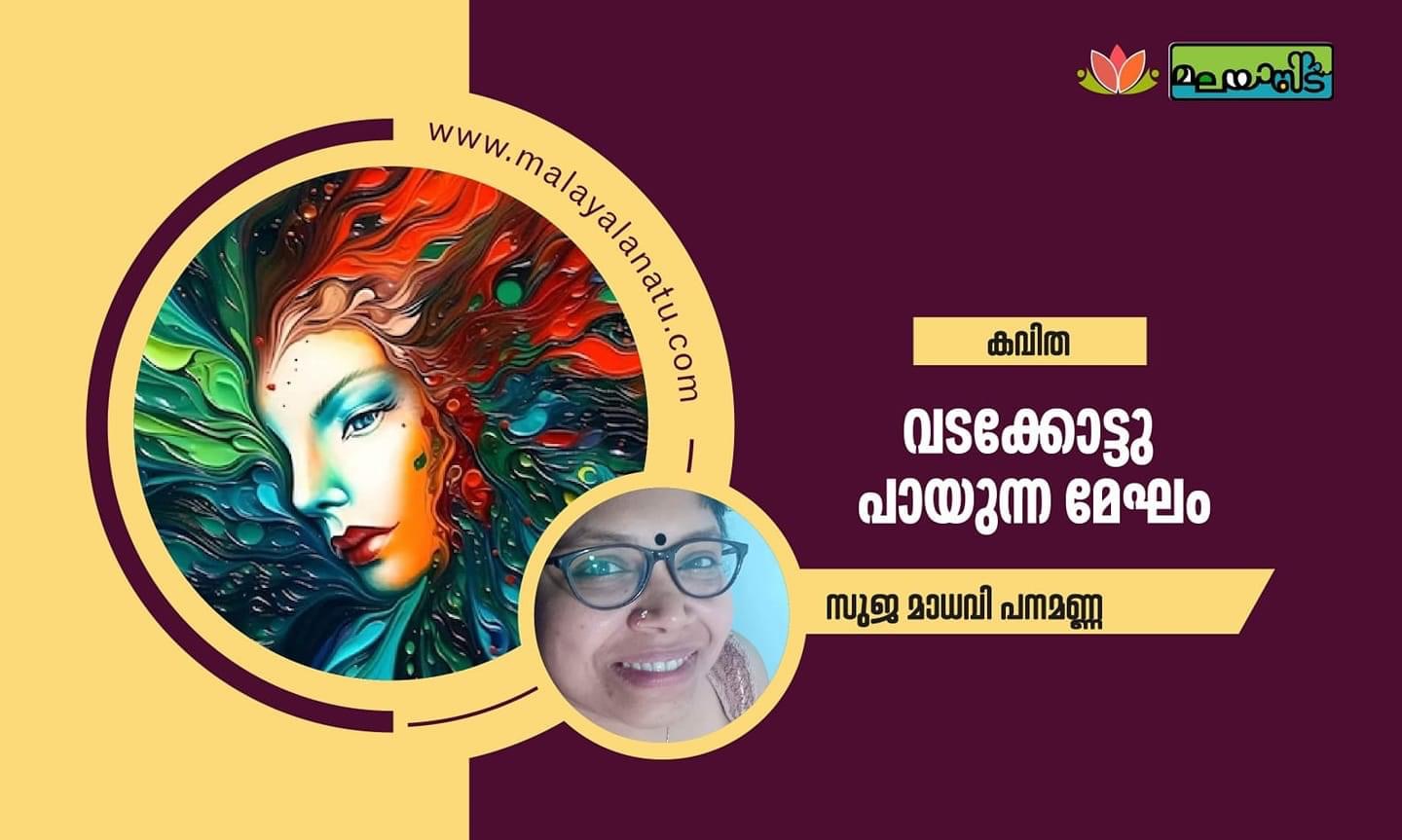 വടക്കോട്ടു പായുന്ന മേഘം