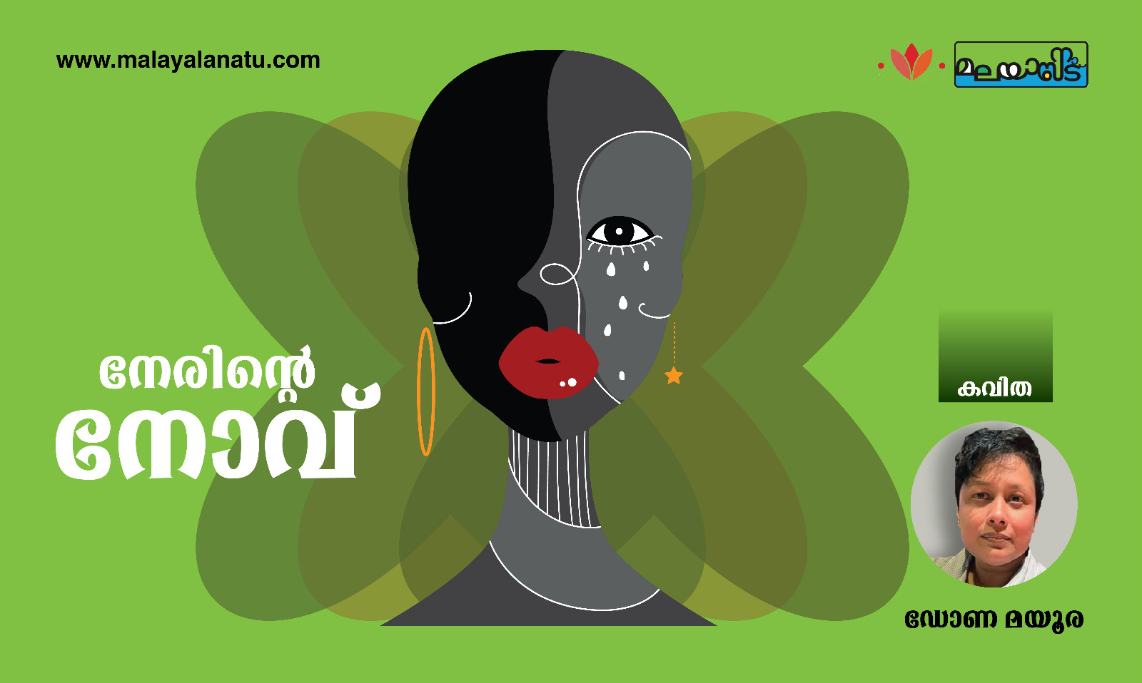 നേരിന്റെ നോവ്