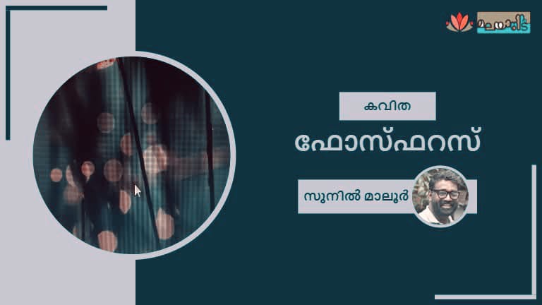 ഫോസ്ഫറസ്