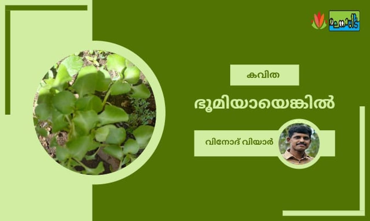 ഭൂമിയായെങ്കിൽ