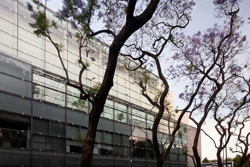 Open Call Rem Malba Writers Residence Malba