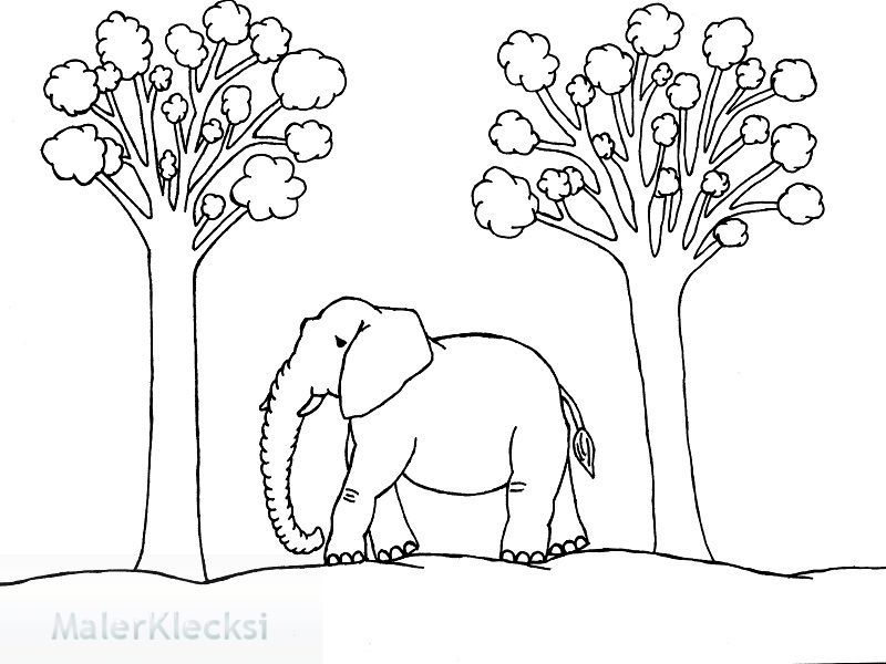 Disney Heffalump Elefant Malvorlage Elefant Ausmalbild Ausmalbilder Disney Malvorlagen