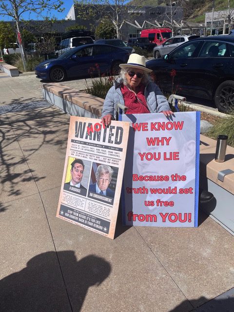 Malibu residents rally against president's administration and Elon Musk’s policies in protest 2025 Tesla Protest Jane AlbrechtUnknown 3