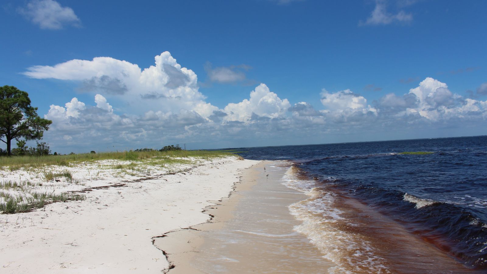 Discover Florida S Best Kept Secret Alligator Point St Teresa Beach Alligator Point Florida Canva 