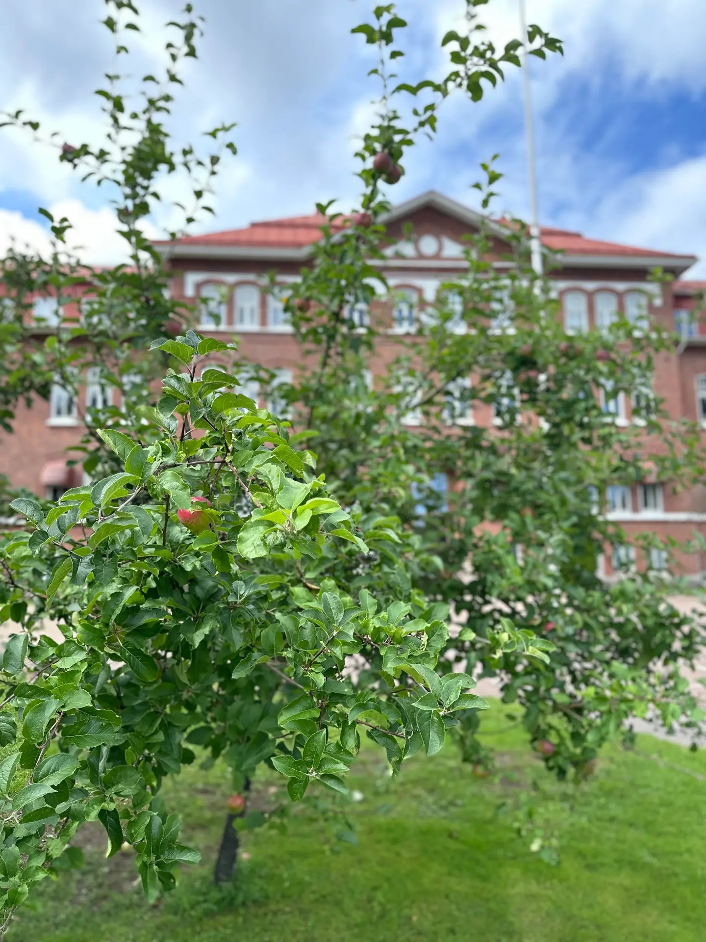 Läs mer om artikeln Föräldramöten!