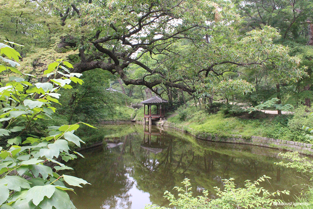 Enter the secret garden