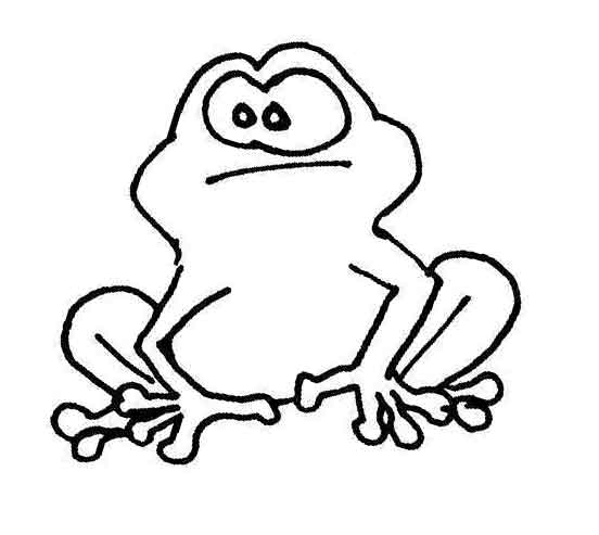 Einen Frosch Zeichnen Anleitung Zum Zeichnen Lernen Frog Drawing Frog Crafts Drawing Lessons