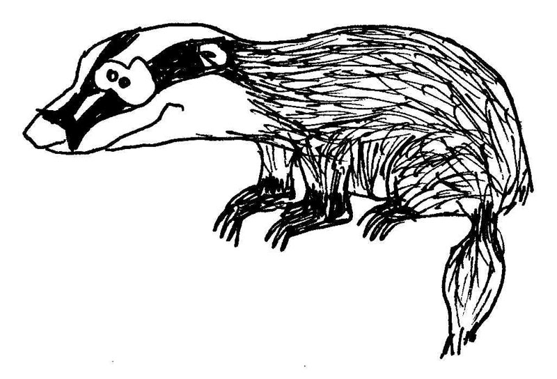 Cartoon Dachs Fototapete Fototapeten Dachs Freihandig Schrulligen Myloview De