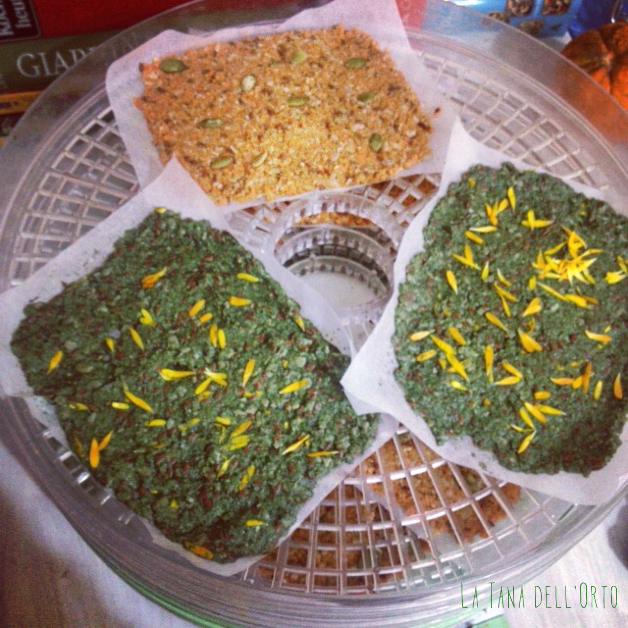 FORMAGGIO, VEGETALE, VEGAN, RAW, CRUDISTA, CRACKERS, INTEGRALE, SANO