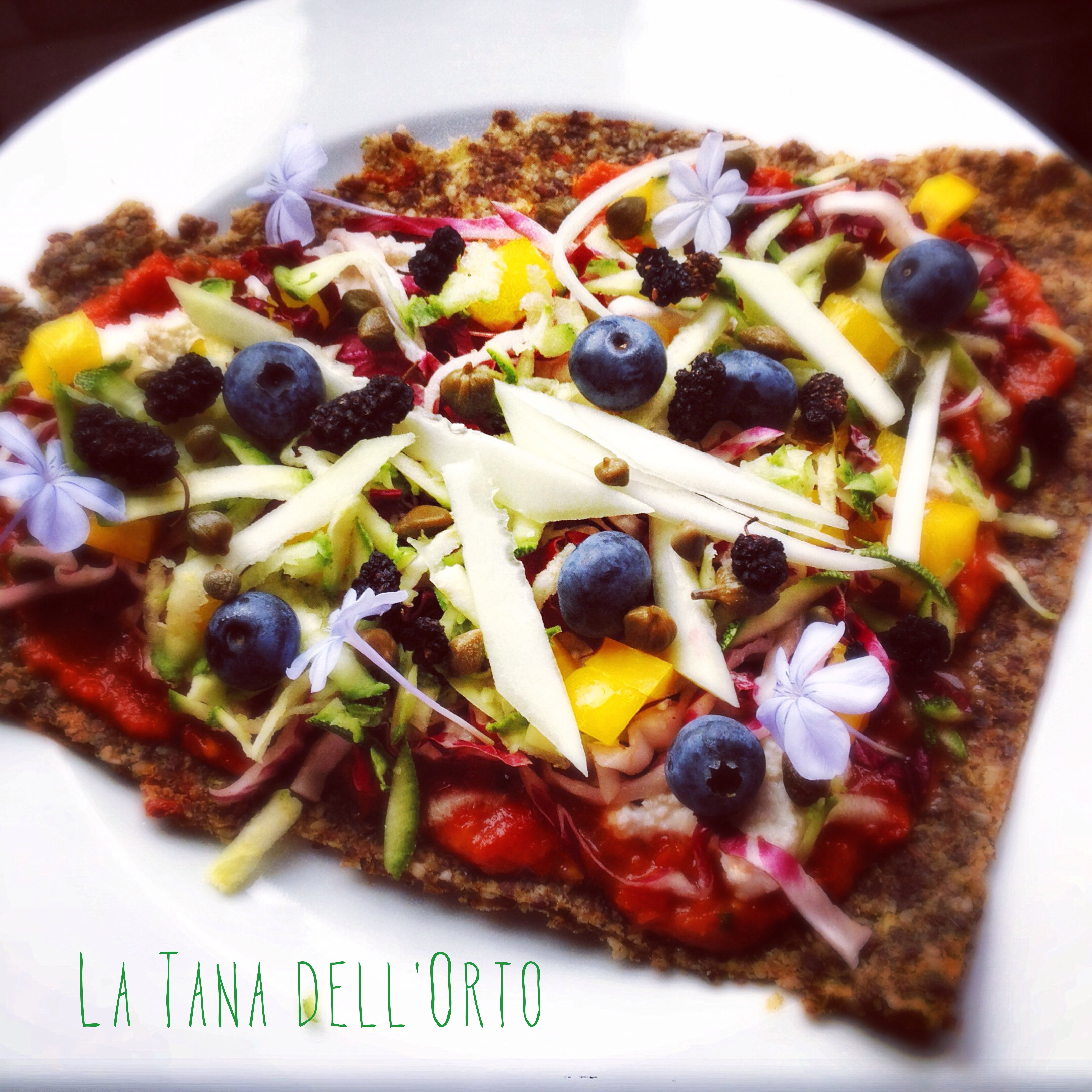 FORMAGGIO, VEGETALE, VEGAN, RAW, CRUDISTA, CRACKERS, INTEGRALE, SANO